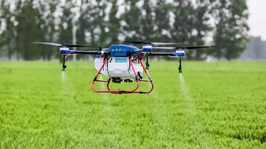 Smart Fertilizer Revolution: Green Innovation in the Era of Precision Agriculture