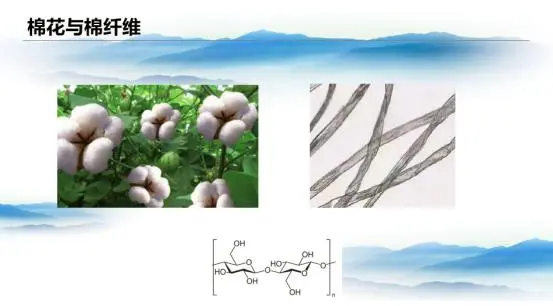 Nitrocellulose.jpg