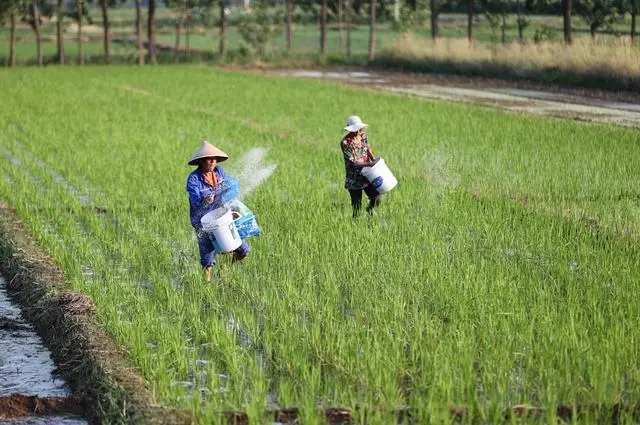 Compound Fertilizers.jpg