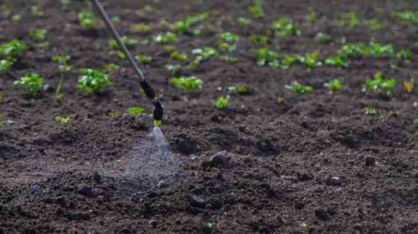 Water-Soluble Fertilizers（2）.jpg