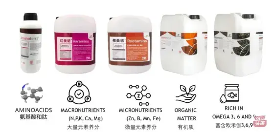 National Special Fertilizer4