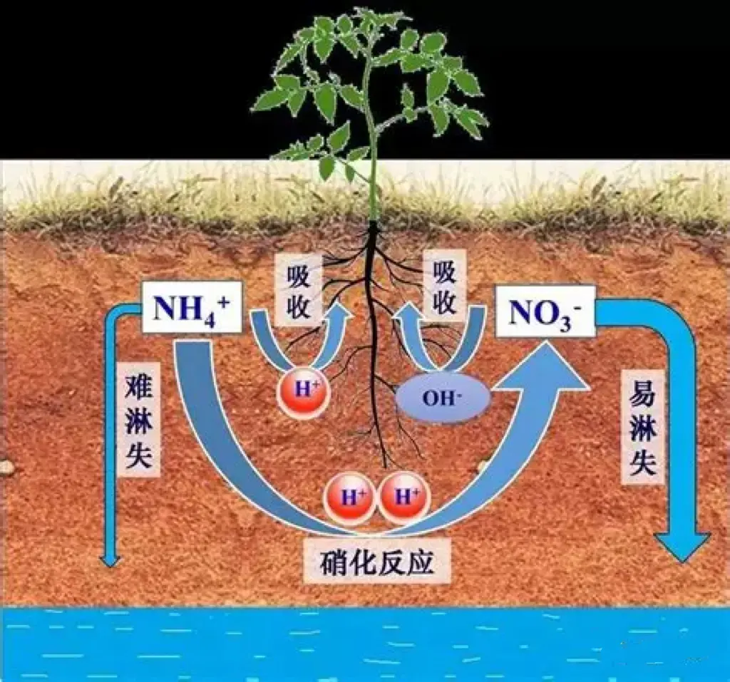 UAN28%, UAN30% and UAN32%: Your Field’s All-Day Nitrogen Buffet, Served in 1 Trip