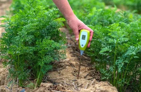 Calcium Nitrate Granular: Revolutionize Your Crop Nutrition & Safety