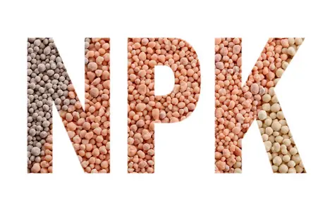 Compound Fertilizers(1).jpg